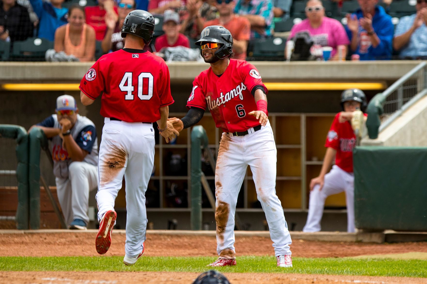 Billings Mustangs play the Rocky Mountain Vibes